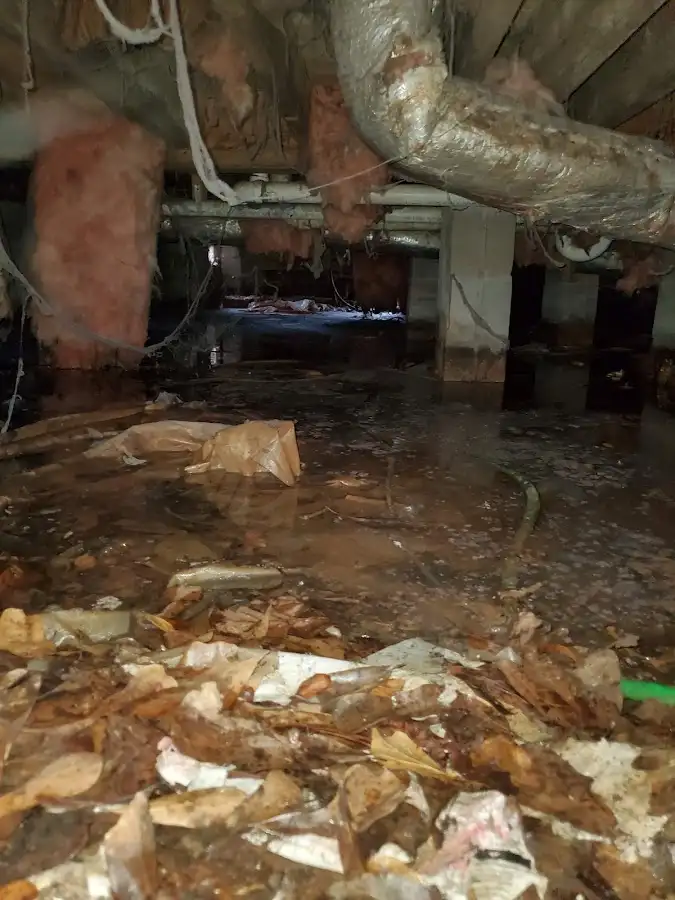 Crawl space flood assessment for Leak Detection & Repair in Grambling